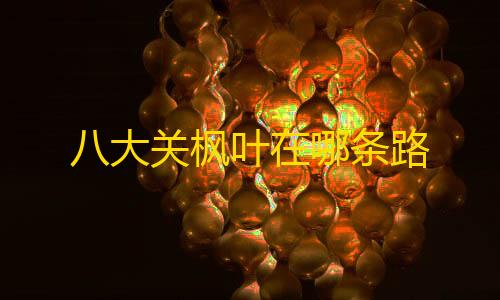 和平卡网24小时自助下单八大关枫叶在哪条路